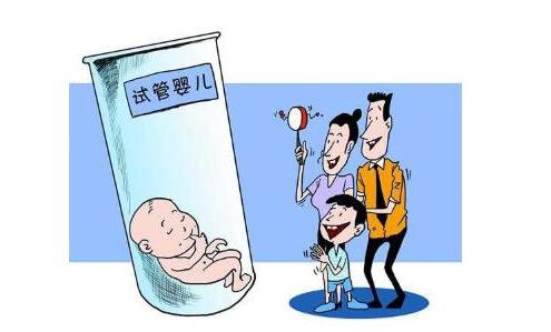 关于丹韵生殖